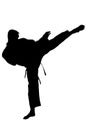 Karate training Ã¢â¬â silhouette Royalty Free Stock Photo